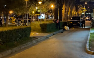 EMRI/ Detaje nga sherri me th*ka mes të rinjve në Shkodër, policia jep detajet e para: Të plagosurit janë 19 dhe 17 vjeç, ja pse u konfliktuan