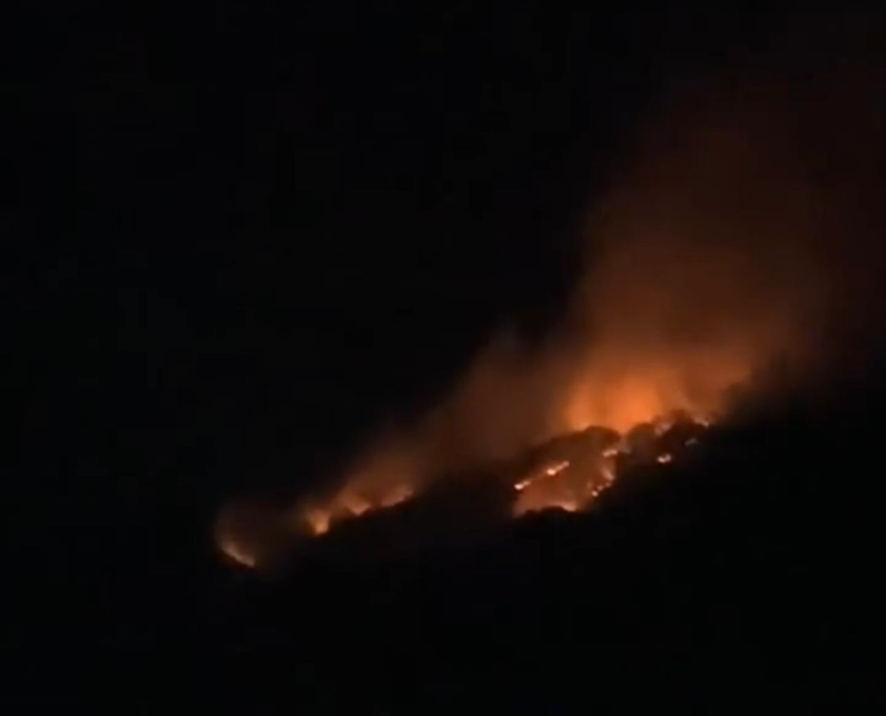 Flakë në malin e Koshnicës në Gramsh  ndërhyrja e zjarrfikësve e pamundur për shkak të terrenit të vështirë