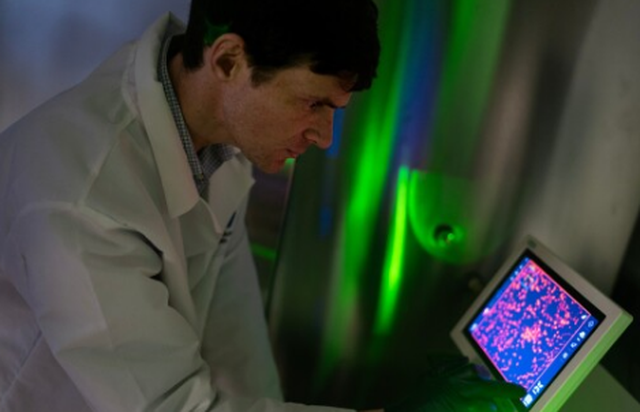 Terapi me qeliza CAR T  Shkencëtarët drejt një qasjeje të re për trajtimin e sëmundjeve autoimune