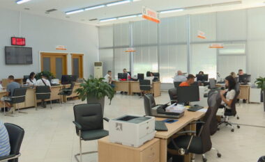 Pagat/ Të gjithë duan të punojnë në shtet, DAP: 20 aplikime për një vend pune