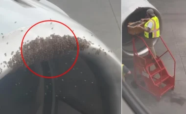 E pazakontë/ Kosherja e bletëve zbulohet brenda motorit të avionit, ndërhyjnë autoritetet… (VIDEO)