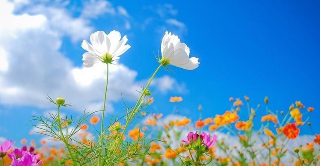 Kushte atmosferike relativisht të qëndrueshme/ Njihuni me parashikimin e motit, 23 Prill 2026