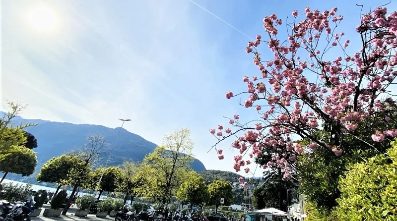 Temperatura deri në 28 gradë/ Njihuni me parashikimin e motit për ditën e sotme, 27 Prill 2026