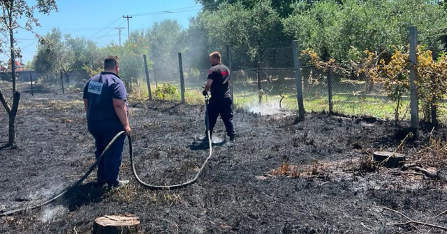 Ndizet një vatër zjarri në Pllanë të Lezhës  flakët përfshijnë një tokë bujqësore
