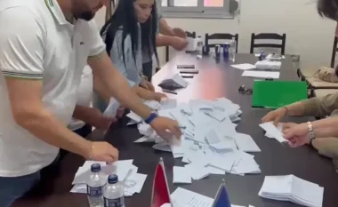 Mbyllet procesi i votimit në disa qytete për zgjedhje e kreut të PD-së, ja sa demokratë kanë votuar