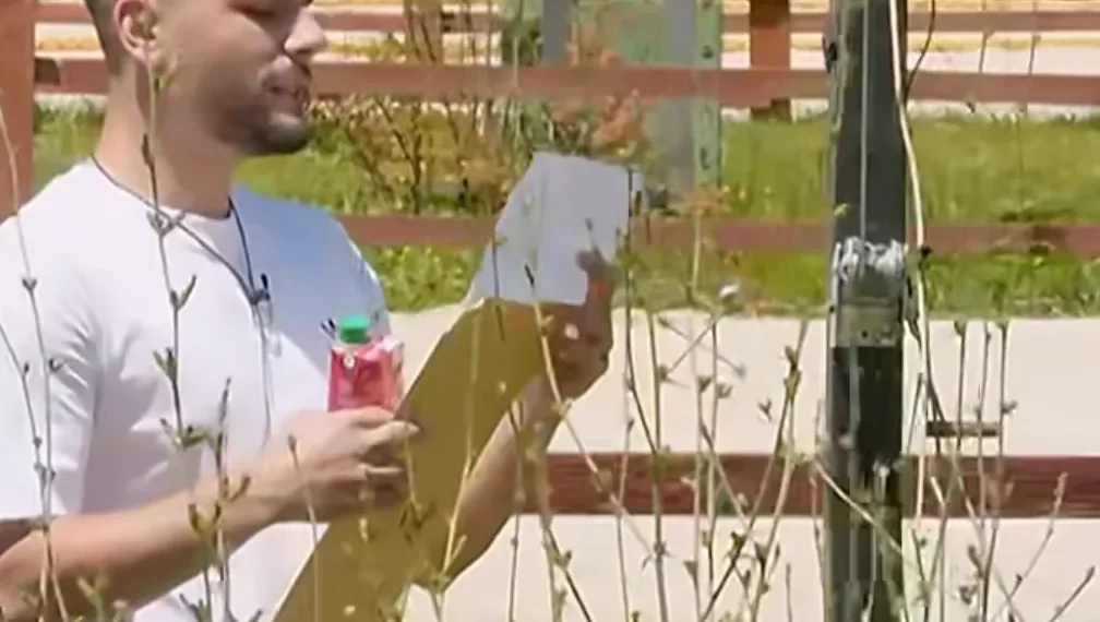Iliri dhe Zhaku thyejnë rregullat e izolimit  Agai vendos për fatin e dy konkurrentëve