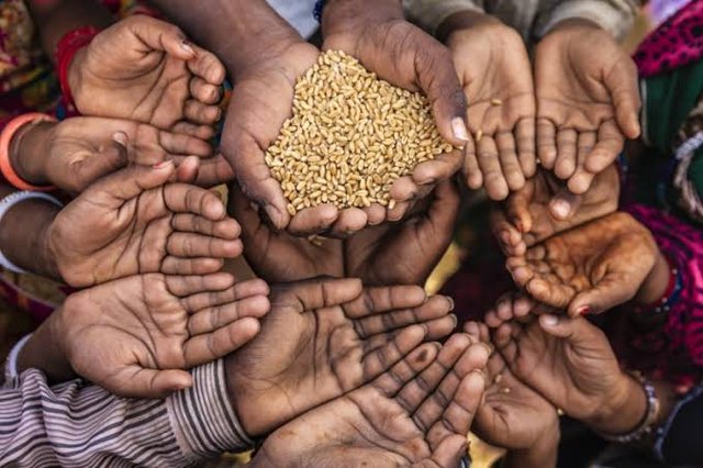 Miliona njerëz në rrezik urie, WFP ngre alarmin pa
