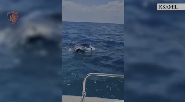 VIDEO  U rrezikuan të mbyteshin në det  Policia Kufitare shpëton dy turistë ukrainas në Ksamil