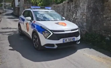 Zbardhen detaje nga detaje nga vrasja e efektivit të policisë në Maliq (EMRAT)