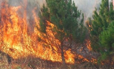 QMK: Në mbarë Maqedoninë janë regjistruar 14 vatra zjarri