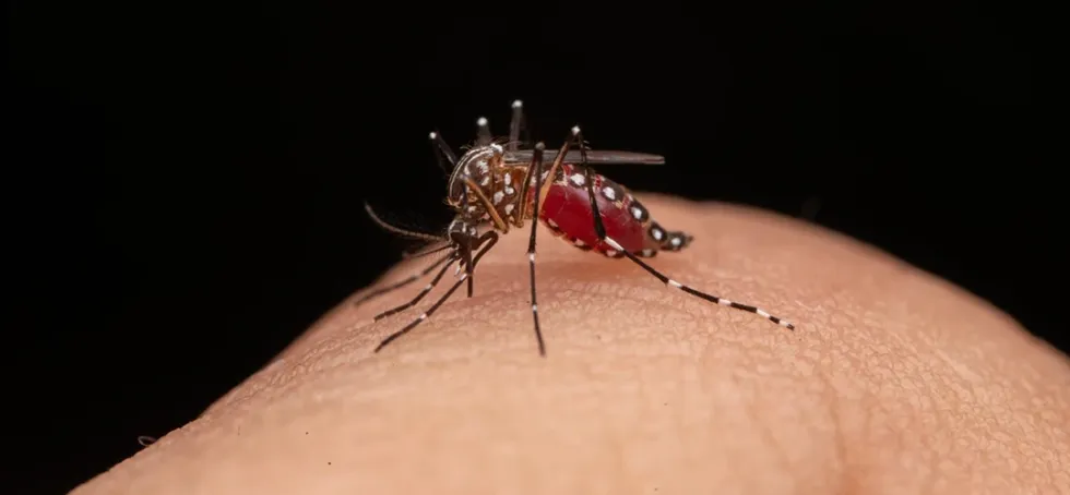 Konfirmohet në Maqedoninë e Veriut rasti i parë me virusin Zika  infektimi ndodhi gjatë pushimeve në Maldive