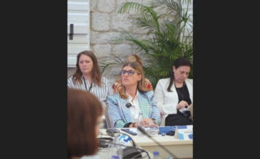 Bogujevci nga Mali i Zi: Ekonomia kreative, mundësi e madhe për të rinjtë dhe punësimin