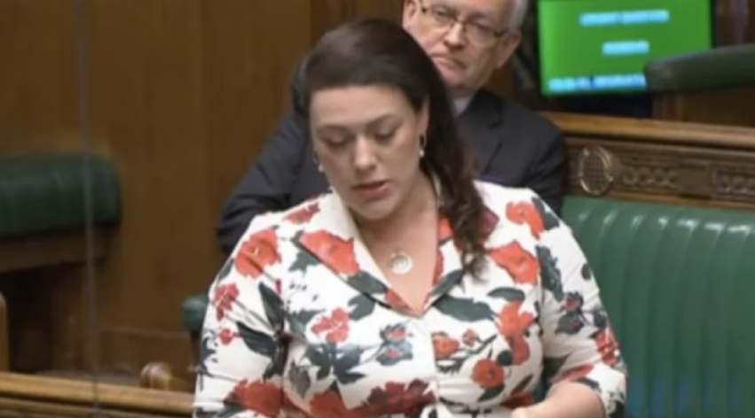 Alicia Kearns  Serbia armatosi grupin që kreu sulmin në Banjskë  në rrezik liritë demokratike