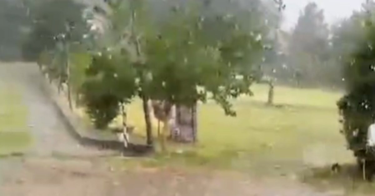 Hail hits Gramsh  severely damaging agricultural crops and vineyards in the village of Drizë