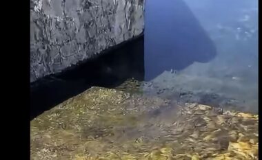 Ina Zhupa publikon video nga Banjat e Bënjës: 2 milionë euro publike për një ndërhyrje që, sipas saj, po i shkatërron