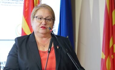 Janevska: Optimizimi i shkollave pa pushime nga puna për mësuesit