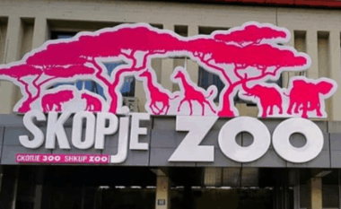 PLD: Disa ujqër u arratisën nga kafazi në Kopshtin Zoologjik të Shkupit dhe shqyen disa kangurë e zogj