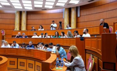 Debat i ashpër në Këshillin Bashkiak të Tiranës për protestën e flamingove, nxirret nga salla anëtarja e Lëvizjes “Bashkë”