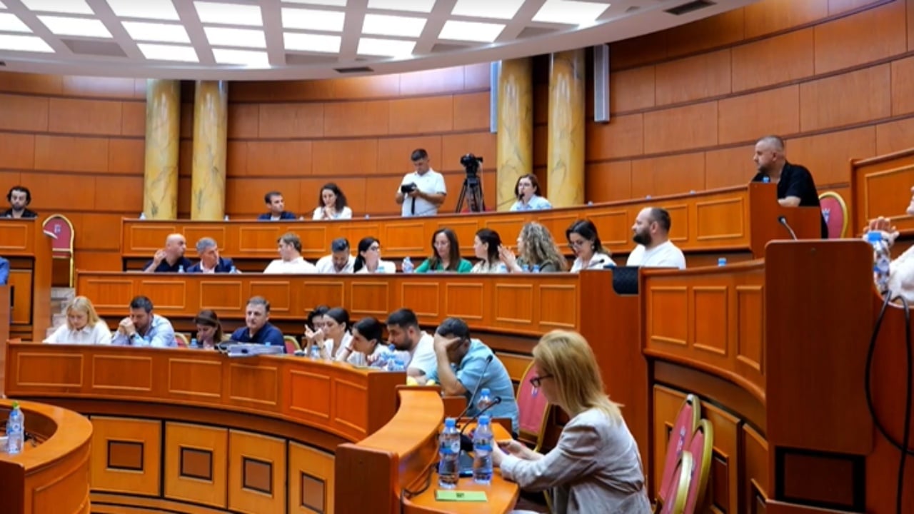 Debat i ashpër në Këshillin Bashkiak të Tiranës për protestën e flamingove, nxirret nga salla anëtarja e Lëvizjes “Bashkë”