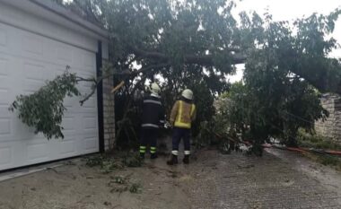 Rrufeja ndez zjarr në Dropull, era e fortë rrëzon pemë dhe bllokon qarkullimin