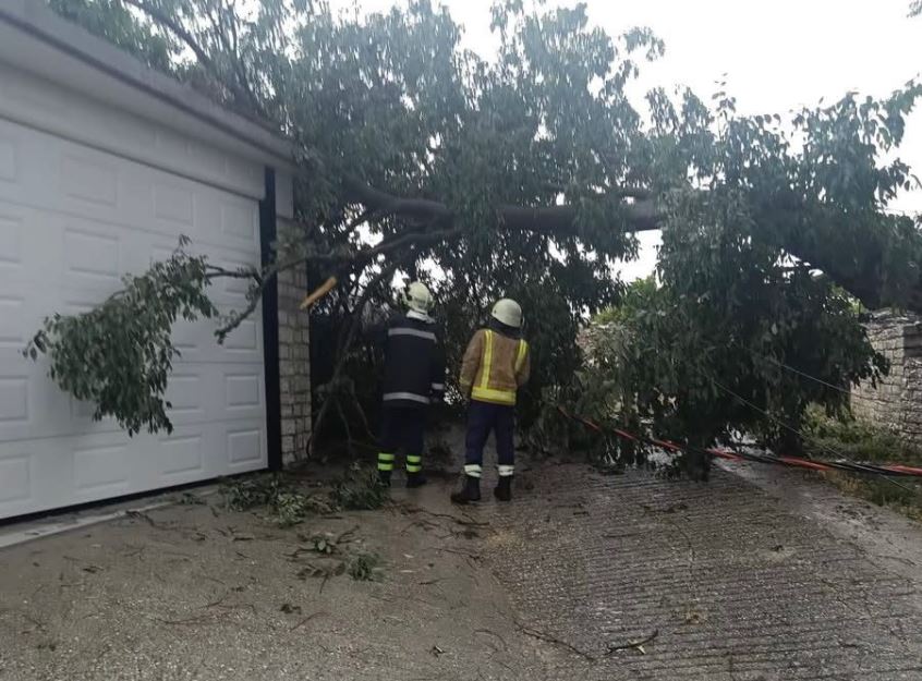 Rrufeja ndez zjarr në Dropull  era e fortë rrëzon pemë dhe bllokon qarkullimin