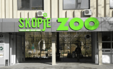 Anima Mundi kërkon mbylljen e Kopshtit Zoologjik të Shkupit pas arratisjes së ujqërve