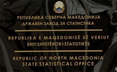 ESHS: Në Maqedoni është rritur numri i vdekjeve të dhunshme