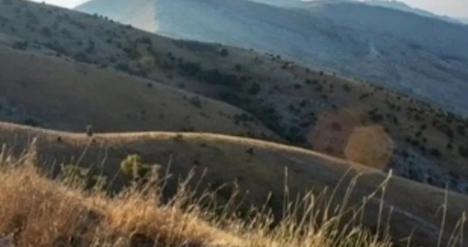 Dyshohet se një banor i Gramshit është rrëzuar nga shkëmbi në malin e Gopeshit  nisen ekipet e kërkim shpëtimit