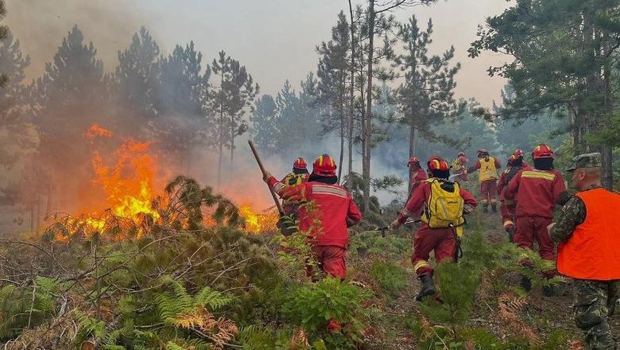 Zjarr mes dy fshatrave në Finiq  era rrezikon përhapjen e flakëve