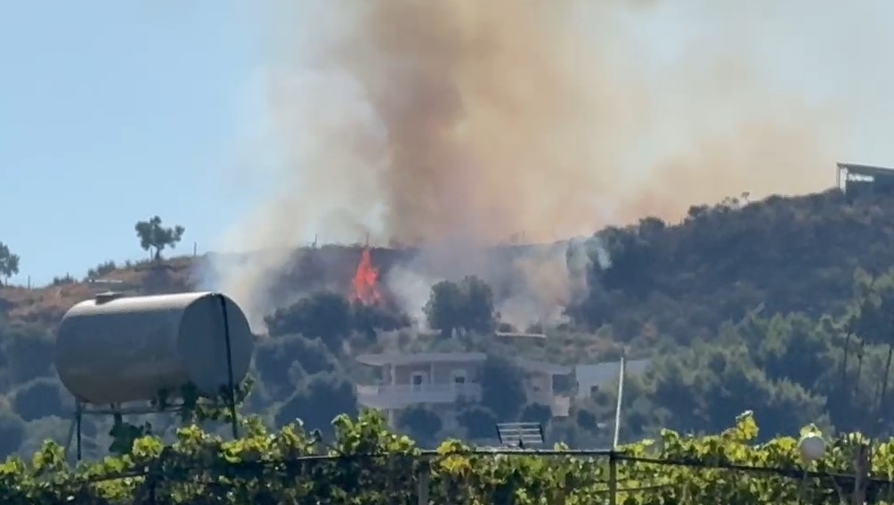 Zjarr i ri në lagjen  15 Tetori  në Vlorë  flakët kërcënojnë banesat përreth