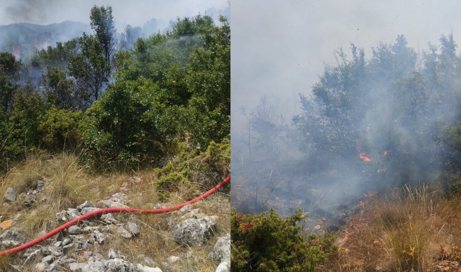 Vatër masive zjarri në Qafë Thanë  flakët përhapen me shpejtësi nga temperaturat e larta dhe era