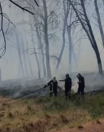 Izolohet zjarri në Zvërnec  era e fuqishme pengoi punën e forcave në terren