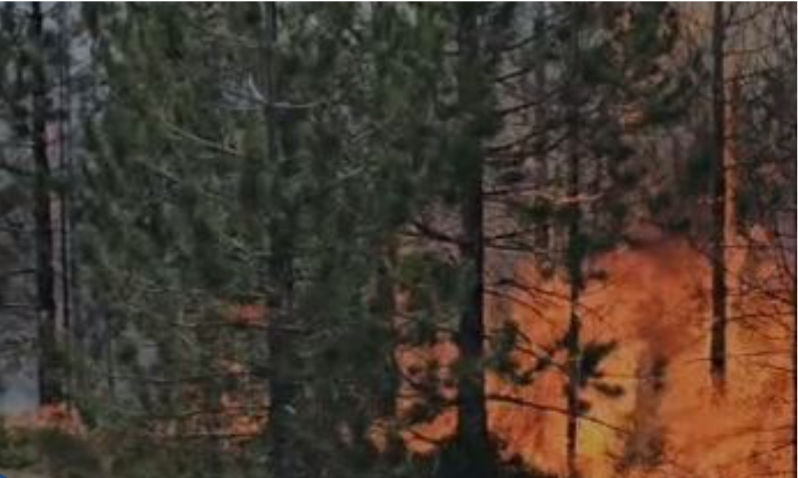 Situata e zjarreve në vend  32 vatra të raportuara  6 prej tyre vijojnë të jenë aktive