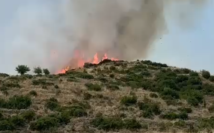 Raportohen 25 vatra zjarri në 12 orë  10 mbeten aktive dhe ndërhyrjet vijojnë nga toka e ajri