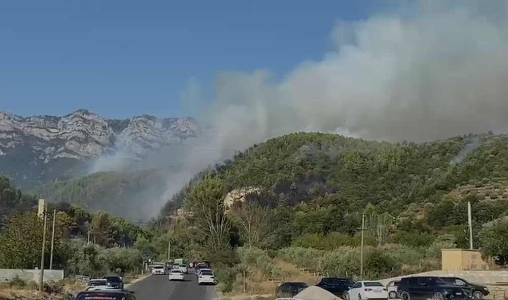 Flakët në Zidoll të Krujës avancojnë me ritëm të lartë  Lagjja e Selimëve nën kërcënim