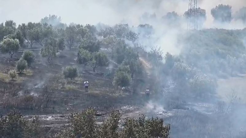 Ministria e Mbrojtjes  8 vatra zjarri aktive në vend  në Krujë ndërhyrja vijon në dy zona