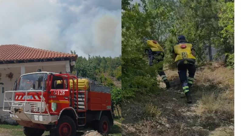 Zjarr masiv në Lugaxhi të Elbasanit  flakët përhapen në pyll dhe rrezikojnë zonën e banuar