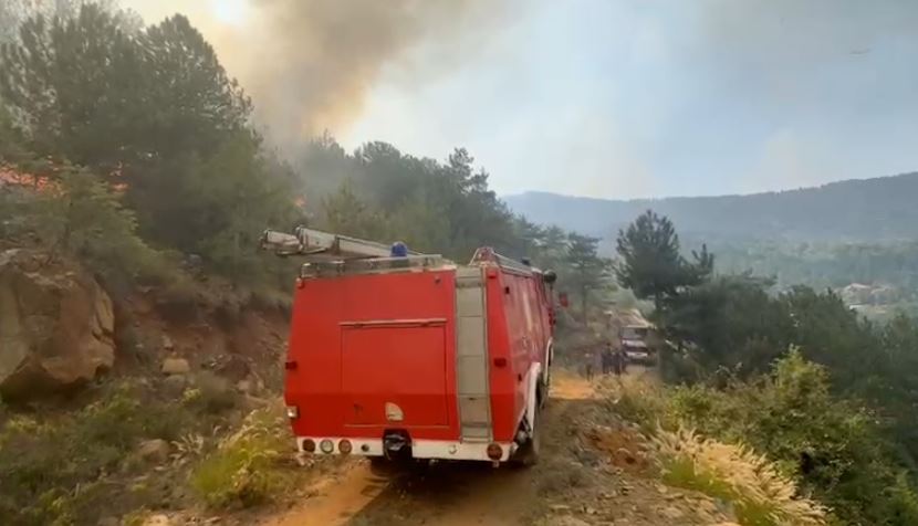 Zjarri përfshin Gojanin e Pukës  evakuohen banorët e Pepajt  Kërkohet ndërhyrje urgjente nga ajri