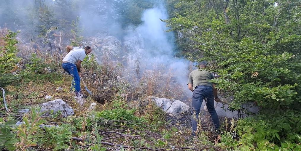 Situata e zjarreve përmirësohet  4 vatra aktive dhe 332 forca të angazhuara në terren