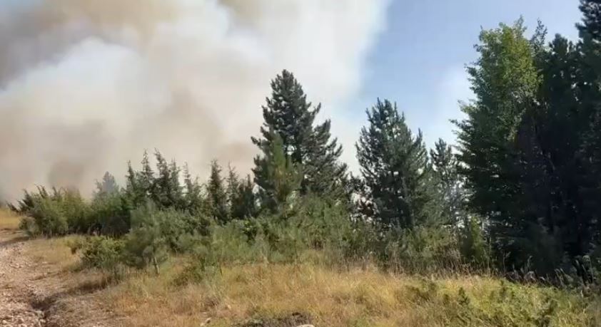 Flakët përhapen në Vajkal  banesat në rrezik dhe banorët përballen me zjarrin