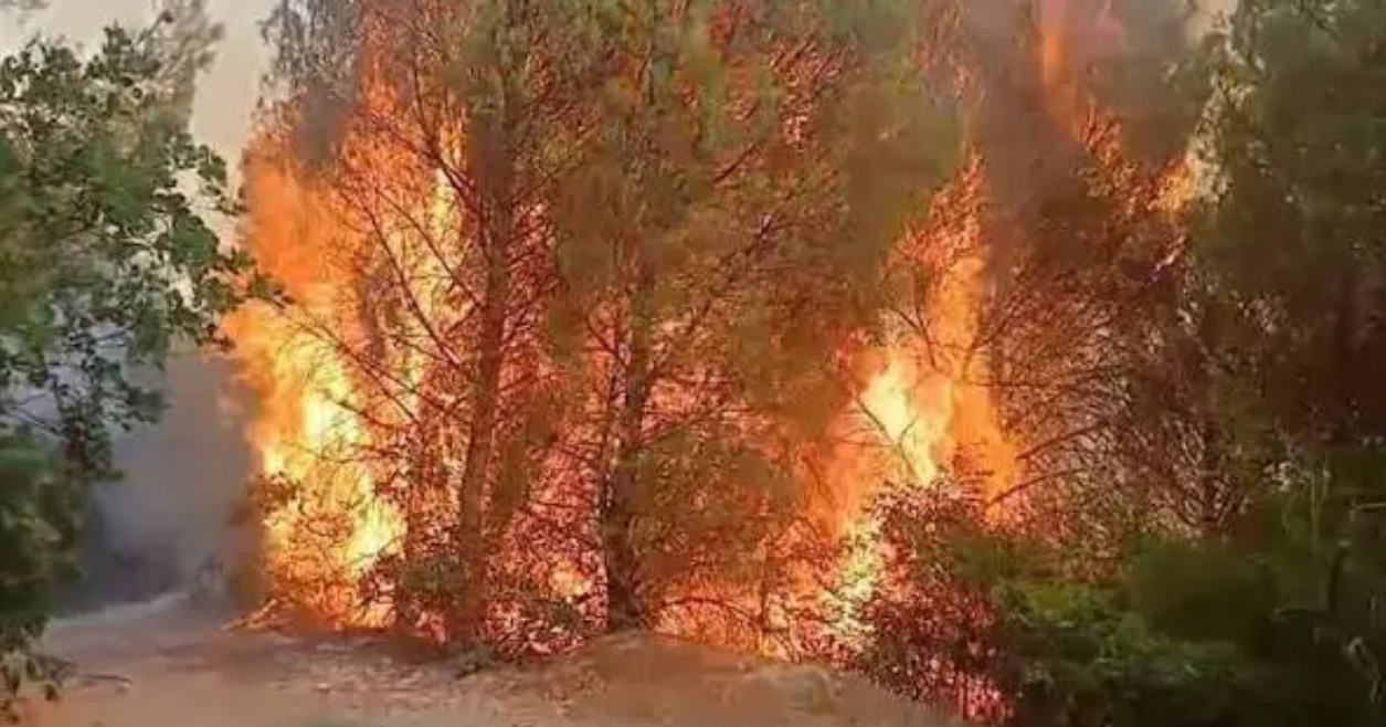Situata nga zjarret në vend  pesë vatra vijojnë të jenë aktive në Dajt dhe Bulqizë