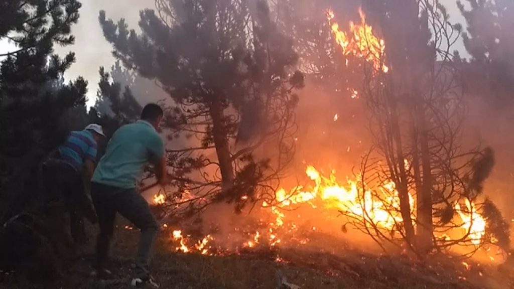 zjarret-ne-vendin-tone-bilanci-i-24-oreve-te-fundit-27-vatra-te-lokalizuara-5-aktive-ne-terren-mbi-300-forca-operacioneve-dhe-150-efektive-te-fa-4-helikoptere-dhe-nje-air-tractor