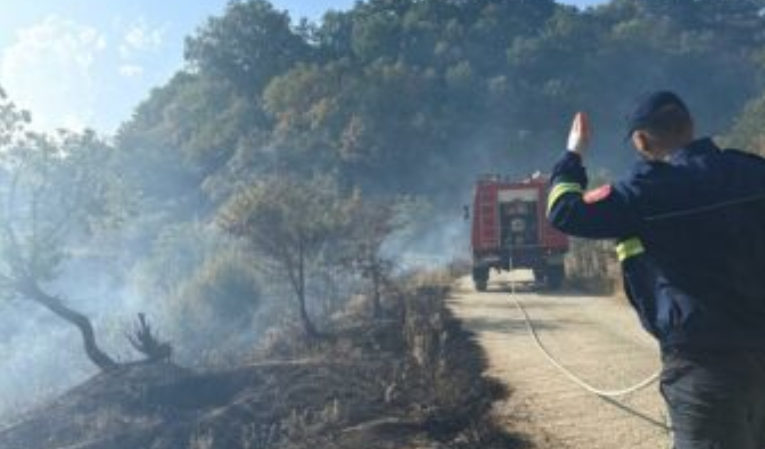 Flakët përfshijnë zona në Gjirokastër  ndërhyrja e shpejtë shuan zjarrin në Këllëz
