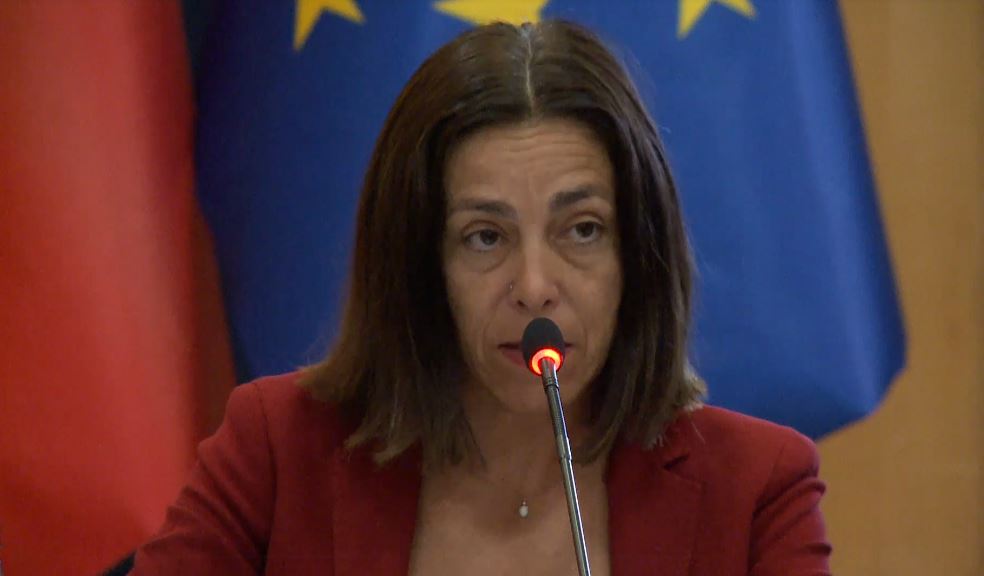Ambasadorja e BE së në Tiranë  Kuvendi i Shqipërisë të mos miratojë ligje pa konsultim kuptimplotë me grupet e interesit  Procesi të jetë transparent