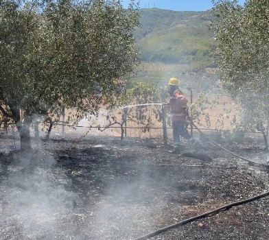 Zjarr pranë banesave në lagjen Hoxhalinj të Shtepanjës  ndërhyrja vë flakët nën kontroll