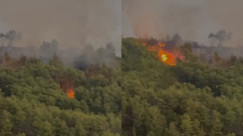 Zjarri vijon të përhapet në kodrat e Bardhajve  banorët kërkojnë ndihmë  Janë djegur ullinj dhe mjete bujqësore