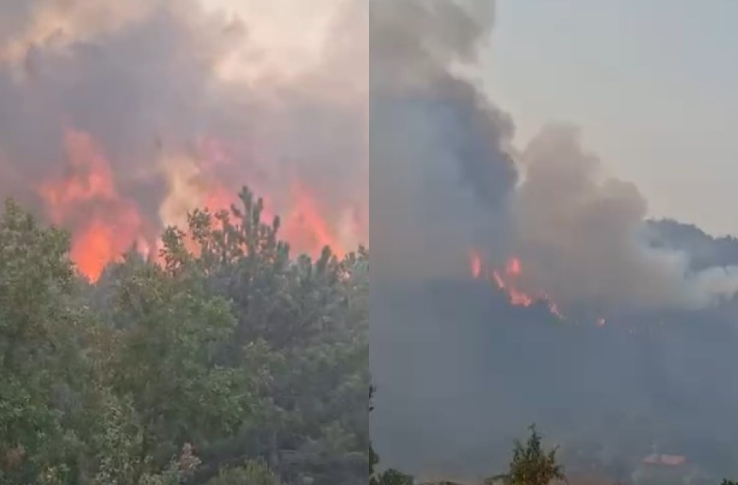 Flakët përfshijnë Zimajn dhe Rrasin  kërcënohen pyjet dhe zona e banuar
