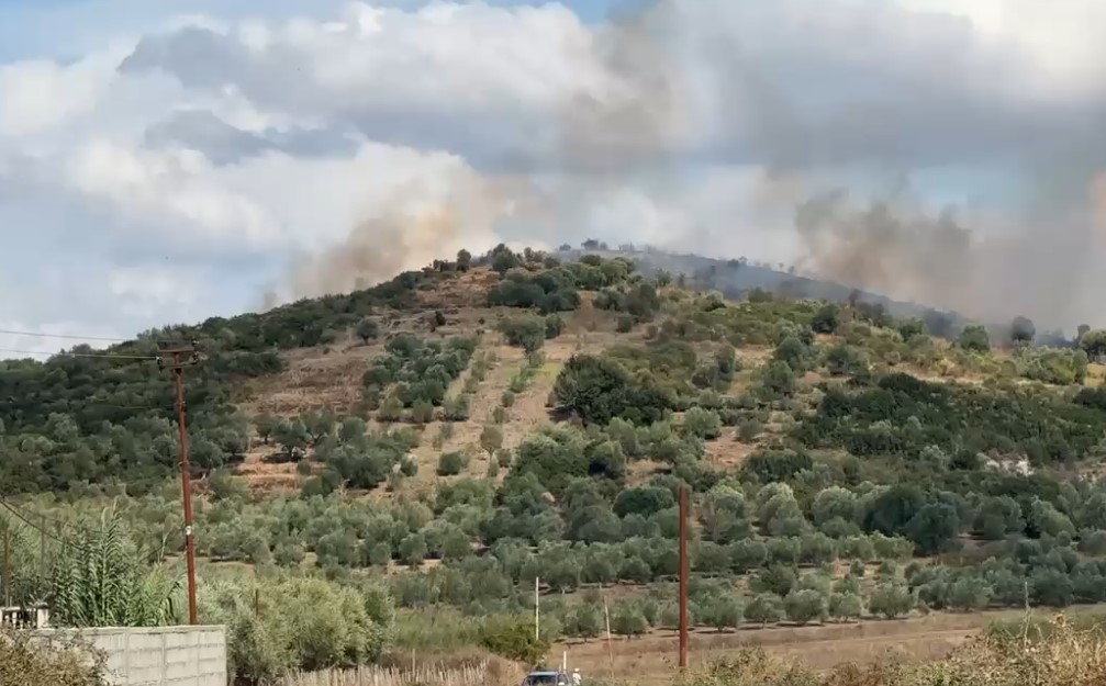 Zjarri në Vlorë neutralizohet pas 3 5 orësh  ullishtat shekullore me dëme të konsiderueshme